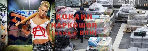стаф Беломорск