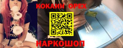 гашик Пыть-Ях