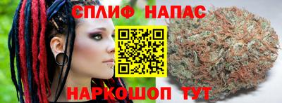 стаф Пушкино
