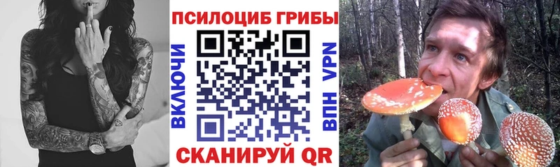 Галлюциногенные грибы Psilocybine cubensis  Свободный 