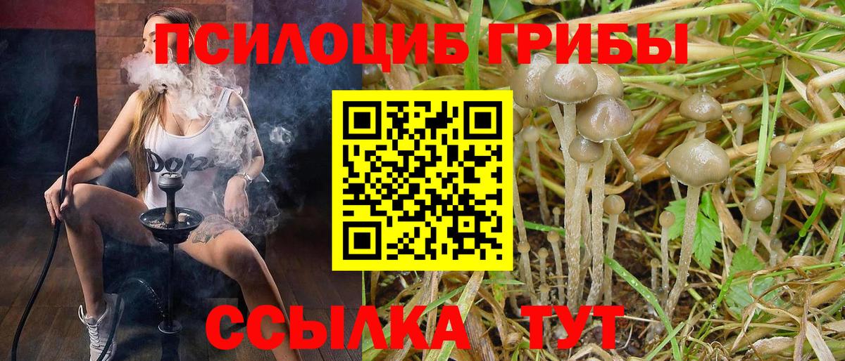 Псилоцибиновые грибы прущие грибы Свободный