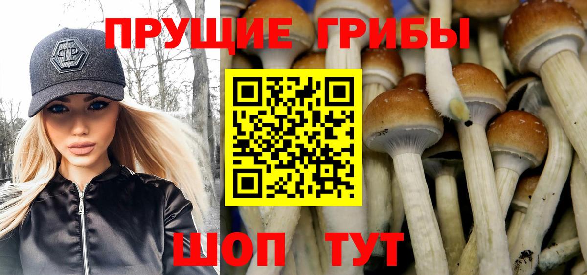 Свободный  Псилоцибиновые грибы Psilocybine cubensis  Вход с VPN  Псилоцибиновые грибы прущие грибы 