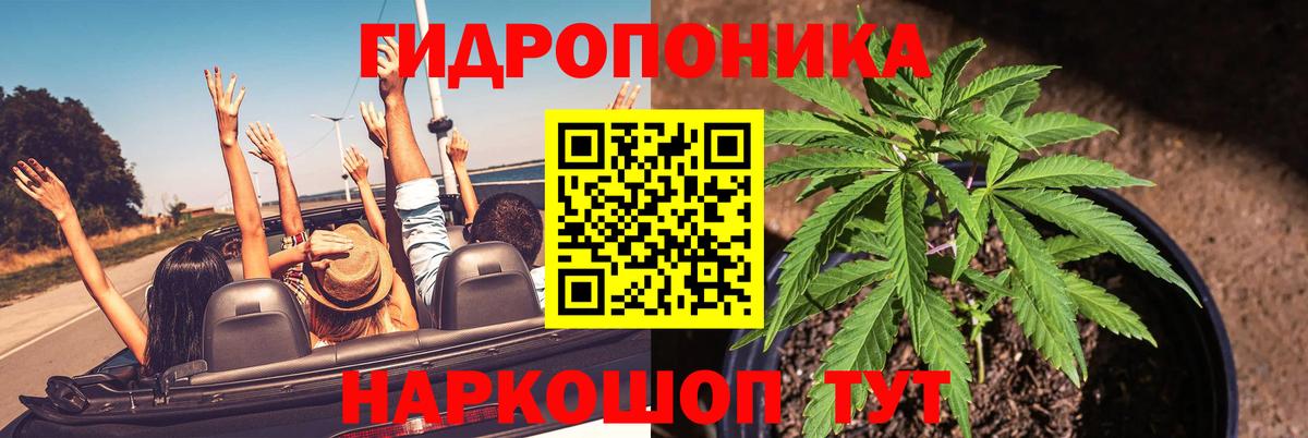 Шишки марихуана сатива Свободный