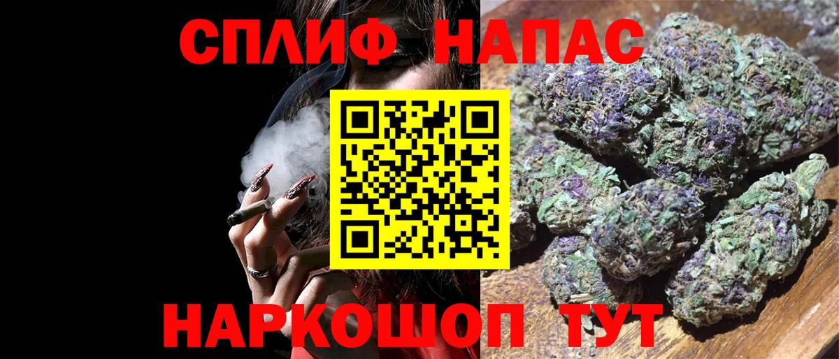 Канабис семена  Бошки Шишки семена  Свободный  Вход с VPN  Каннабис сатива 
